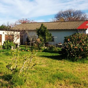 Copy of Aldrich Cora 005